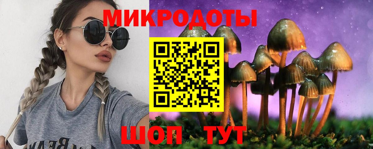 Галлюциногенные грибы Cubensis  Вход с VPN  Кимовск 